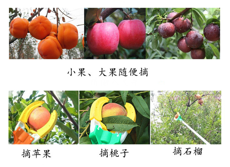 TB2rRJwdNPI8KJjSspoXXX6MFXa_!!