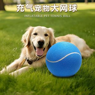 �����W��9.5Ӣ�����W�� ���ﹷ��ʮ���옷�o��Ʒ�ղ؏V��W��
