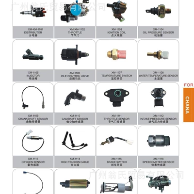 Chassis Full Vehicle Accessories, Other walking systems