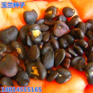 ���m��N�� �����m�N�� �����m�N�ӏV���m�N���S���m�N���������m