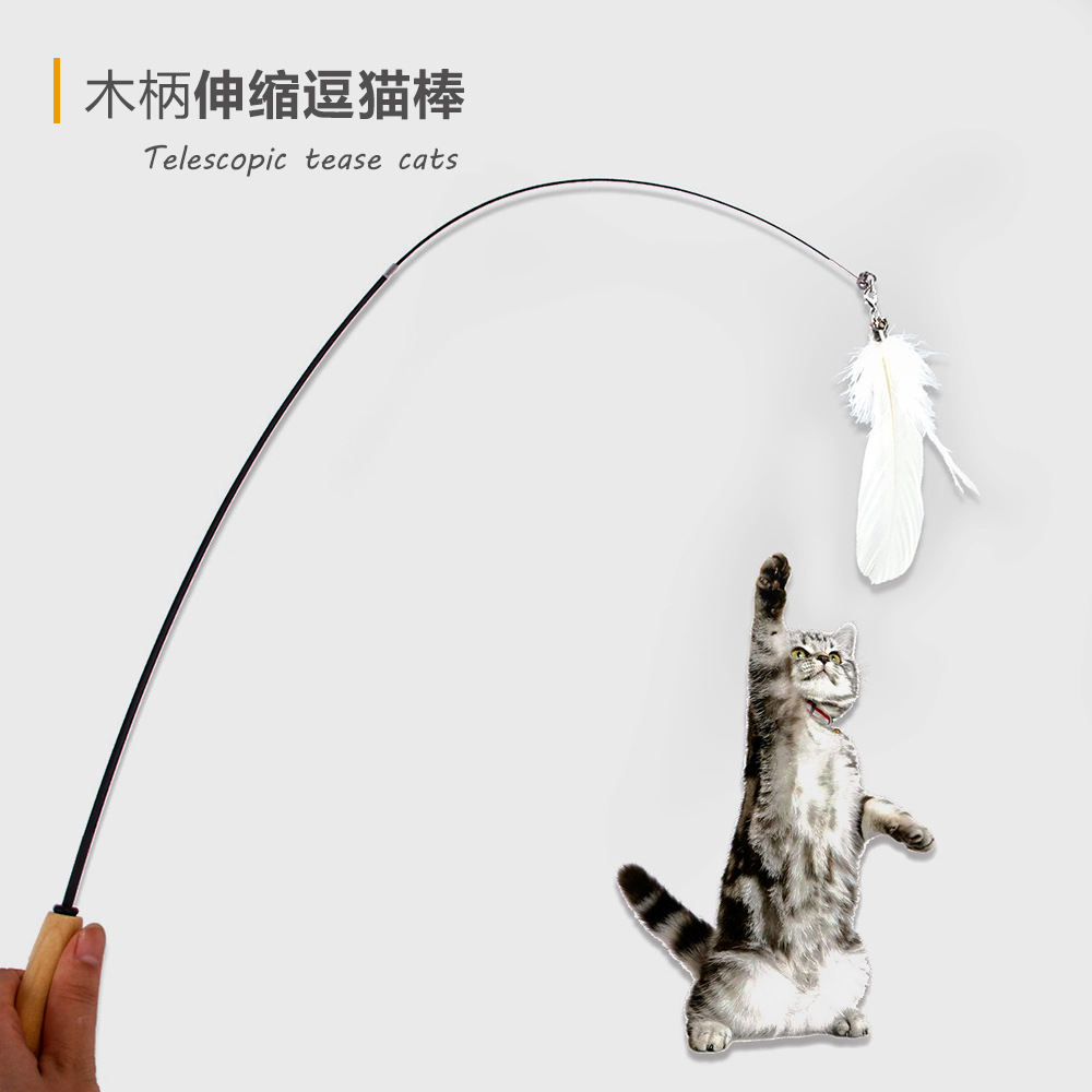 Cross-border spot Manufactor new pattern Pets Cat teaser stick Toys Carbon fibre Telescoping Feather Kitty Supplies