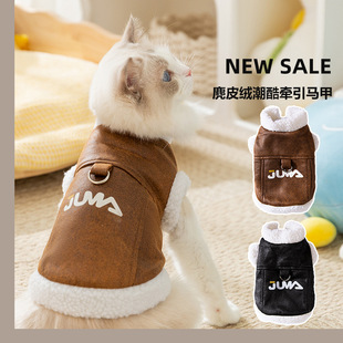 Pet clothing autumn and winter cat lamb velvet padded warm into cat kitten hairless cat dog two-legged cat clothes