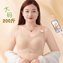 �̶����o�۹����z�l����Ůܛ֧�ξ۔n���´��o�Ȧ���玧���m����