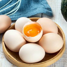 40g *5枚農家特產新鮮雞蛋枚初生蛋