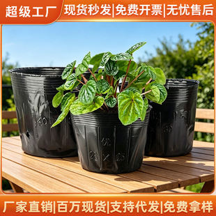 �I�B������������������؏͠I�B���I�B��һ���ԼӺ����ϻ�����l