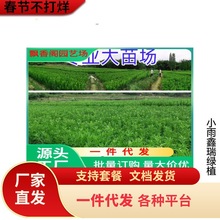 �޽ӳ�����t��Ѫ���Ә������Ե��Թ��������Ѫ���Ә���Y������