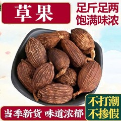 草果精选无硫草果调料卤味肉云南草果调味料草果粉新货商用炖肉料