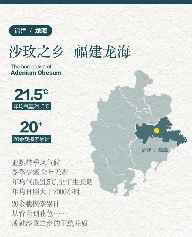 b46656d1-ef3e-4bc1-bc0d-42130963ccc4.jpe