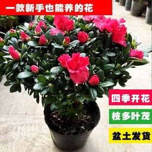 �����ļ��_�����N�ļ����������������G�hͥԺֲ����N����ֱ�N�S