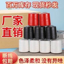 402�p�x�C�����8000�a�p�¾���]�����S���÷��b�p�x�����l���]