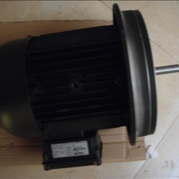 供应威索燃烧器配件威索电机6.5KW/10KW/12KW（图）
