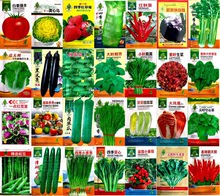 蔬菜種子四季播種陽台農家盆栽香菜菠菜生菜蘿卜小蔥草莓籽孑大
