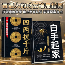 白手起家如何获取第一桶金书籍建立经济思维普通人财富认知指南书