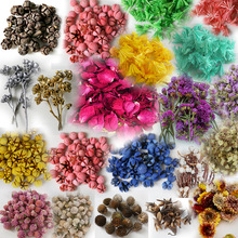 ��Ȼ�ɻ����^����������Ʒ���ջ��DIY���z��޹�b��� �S�����l
