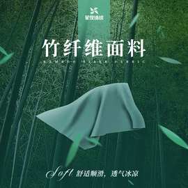 加厚竹纤维拉架面料 针织氨纶汗布 瑜伽服防晒服T恤裤子裙子面料