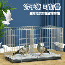 B\Bֳֳ^p800ۯBlSҿ羳