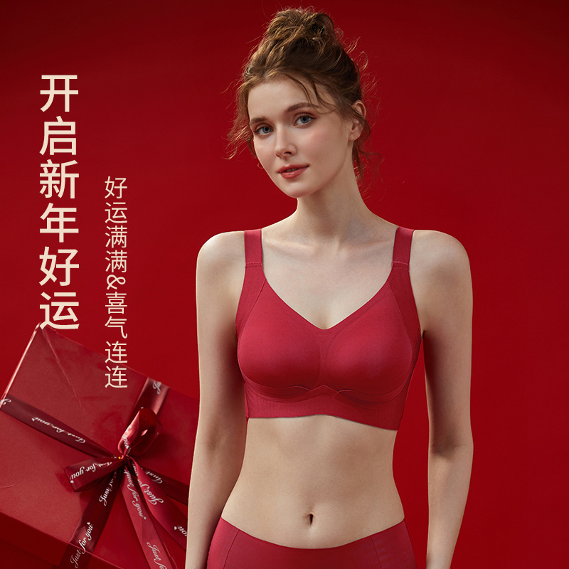 Women's Bra for the Year of Birth, Slimming and Lucky Red Intimates Set, Small Breasts Showing Big Breasts, Auxiliary Breast Intimates