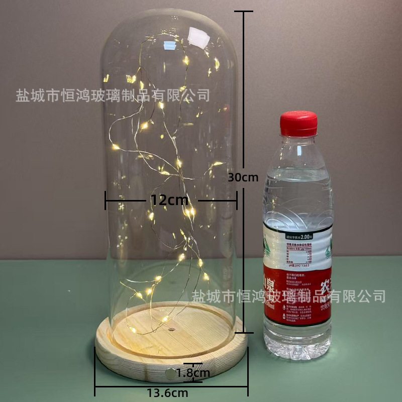 海胆永生花干花侧面触摸开关玻璃罩子底座带灯展示盒手办创意|undefined