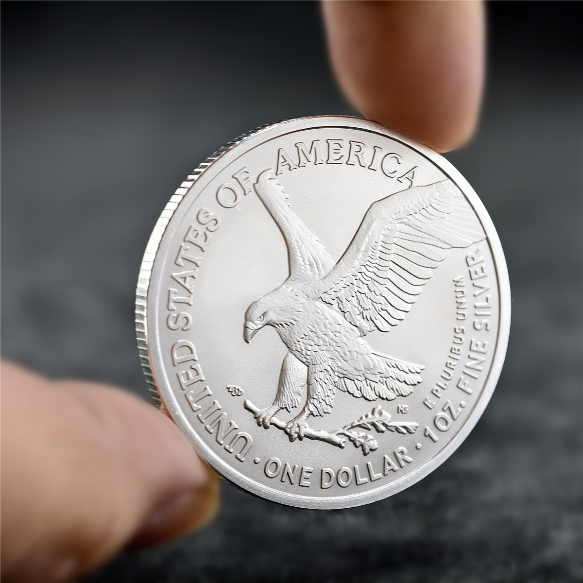 2026女神鹰 (3).jpg