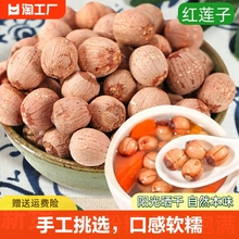 ll湖南湘潭红皮莲子干货新鲜500g特产级无硫去芯小莲子农家自