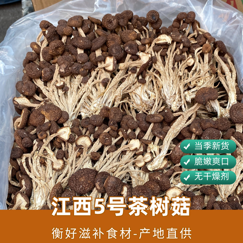 江西特产茶树菇  不开伞5号菇菌汤包煲汤菌菇干货500g食用菌批发