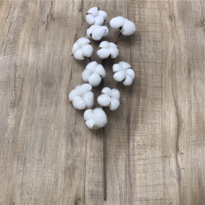 Yongsheng Cotton Dried Flower Simulation Single Kapok Bouquet Craft Wedding Home Furnishing Flower Arrangement Decoration Photo Props