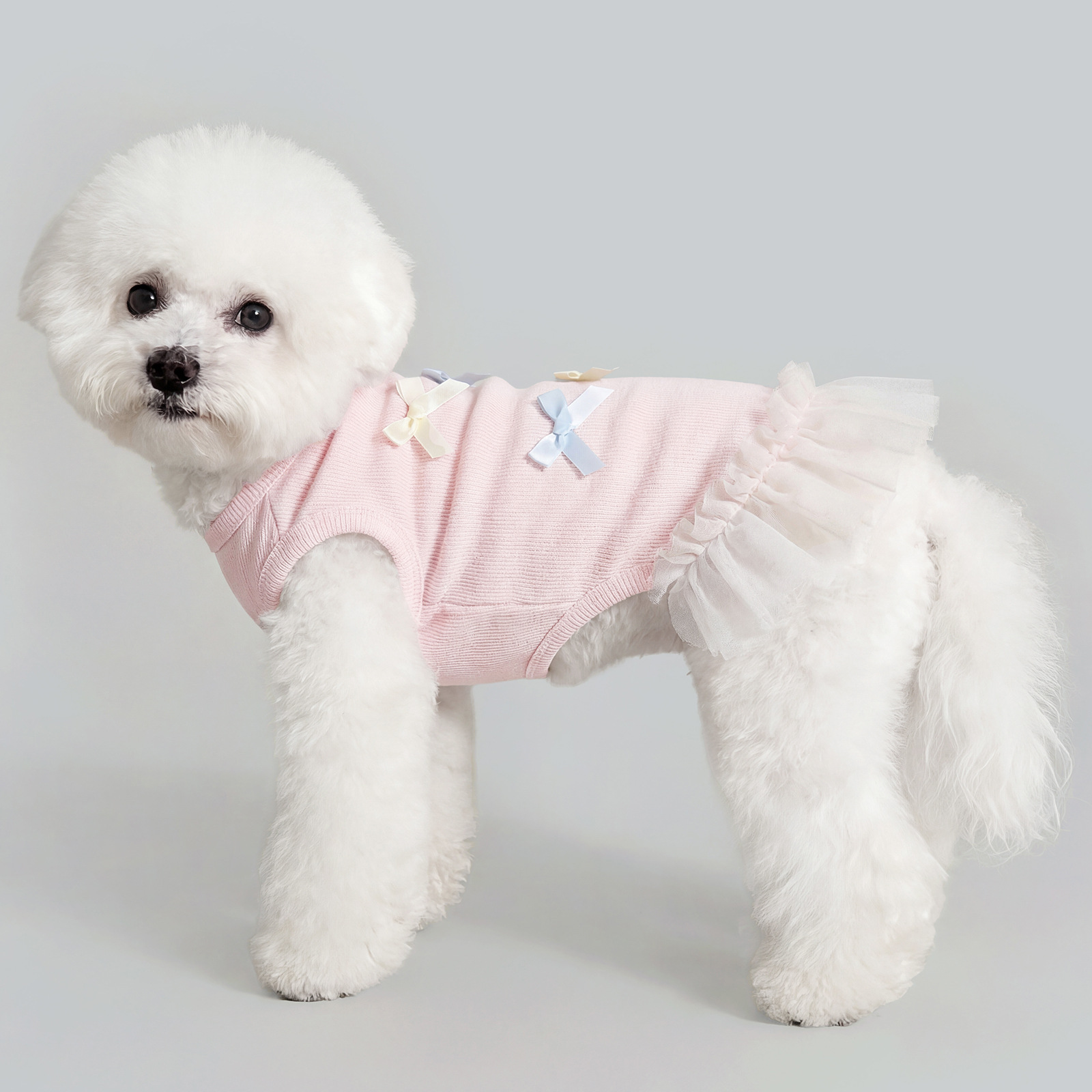 Chaleco refrescante de verano para mascotas con tacto helado, ropa transpirable y fina con protección solar de contraste de color para Bichón Frisé americano._voghion.com
