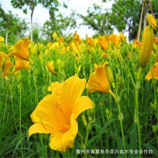 ��������ݱ���ɽ�|������������ݼt����ݻ���ֱ�l����r��