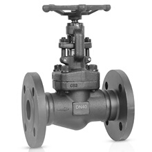 乤yT 䓺ӽֹy mֹy J41H-64C