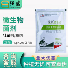 活菌壮苗 生根剂 快速扎根扦插喷施叶面肥英国安克 40g*200袋