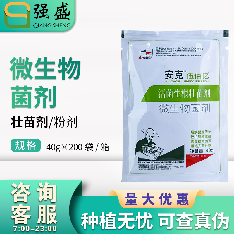 活菌壮苗 生根剂 快速扎根扦插喷施叶面肥英国安克 40g*200袋