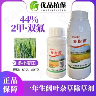 44%2���p�� ���˰ل���ָ�]���ղ������i����С���������݄�
