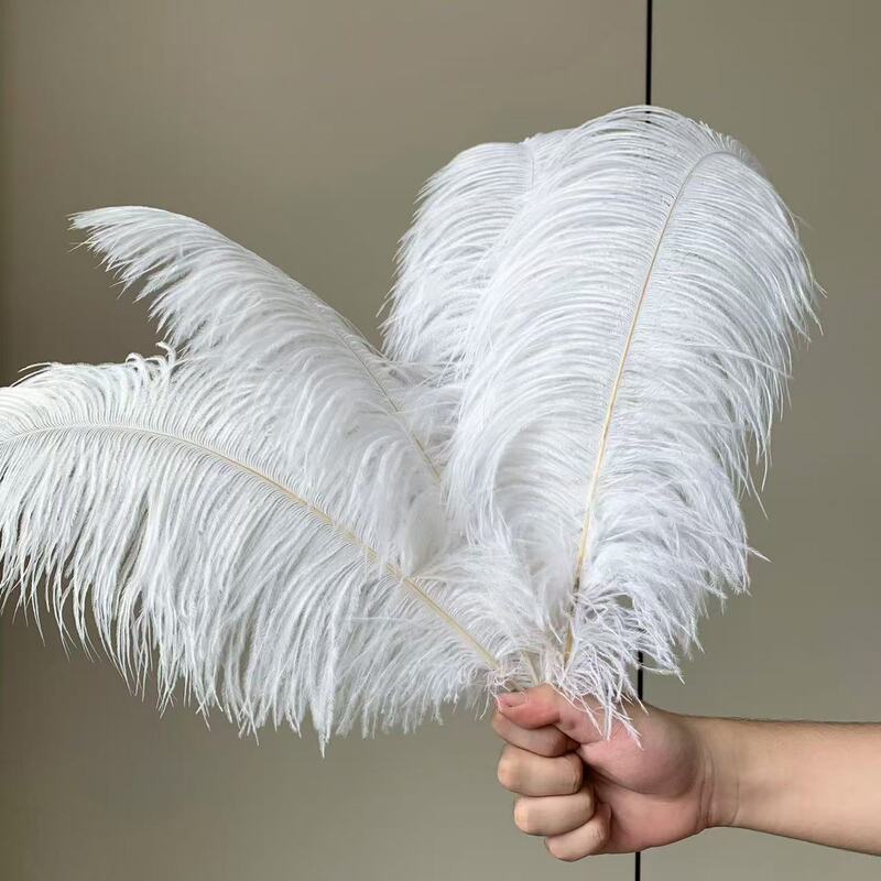 Wholesale 15-60cm high quality thin rod ostrich feather white feather diy wedding wedding decoration ornaments clothing accessories Wholesale 15-60cm high quality thin rod ostrich feather white feather diy wedding wedding decoration ornaments clothing accessories