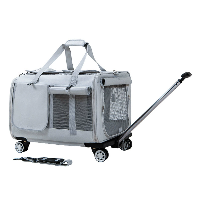 Big breathable handheld suitcase to go out