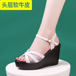 �^��ţƤ���¸��W���U�՛�Ь��ˮ̨���m���|ŮЬһ�ֿێ���Ь