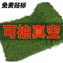 ����̦�\��ƺ����΢���^�[����̦�辰�����b��쾰�ٽz��ë��̦�\