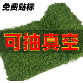 仿真苔藓草皮人造微景观摆件青苔盆景盆栽装饰造景假丝状毛线苔藓
