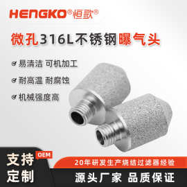 源头厂家直销供应螺纹扩散器高效过滤精密不锈钢曝气头过滤器滤芯