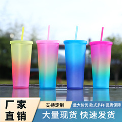 工場直接供給グラデーションカラー二層プラスチックストローカップ大容量パーソナライズされた通勤ドリンクカップつや消しテクスチャードウォーターカップ