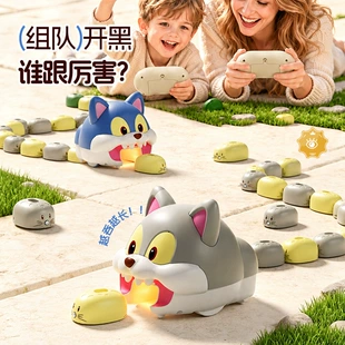 Магнитная игра «Кот ловит мышей» на двоих