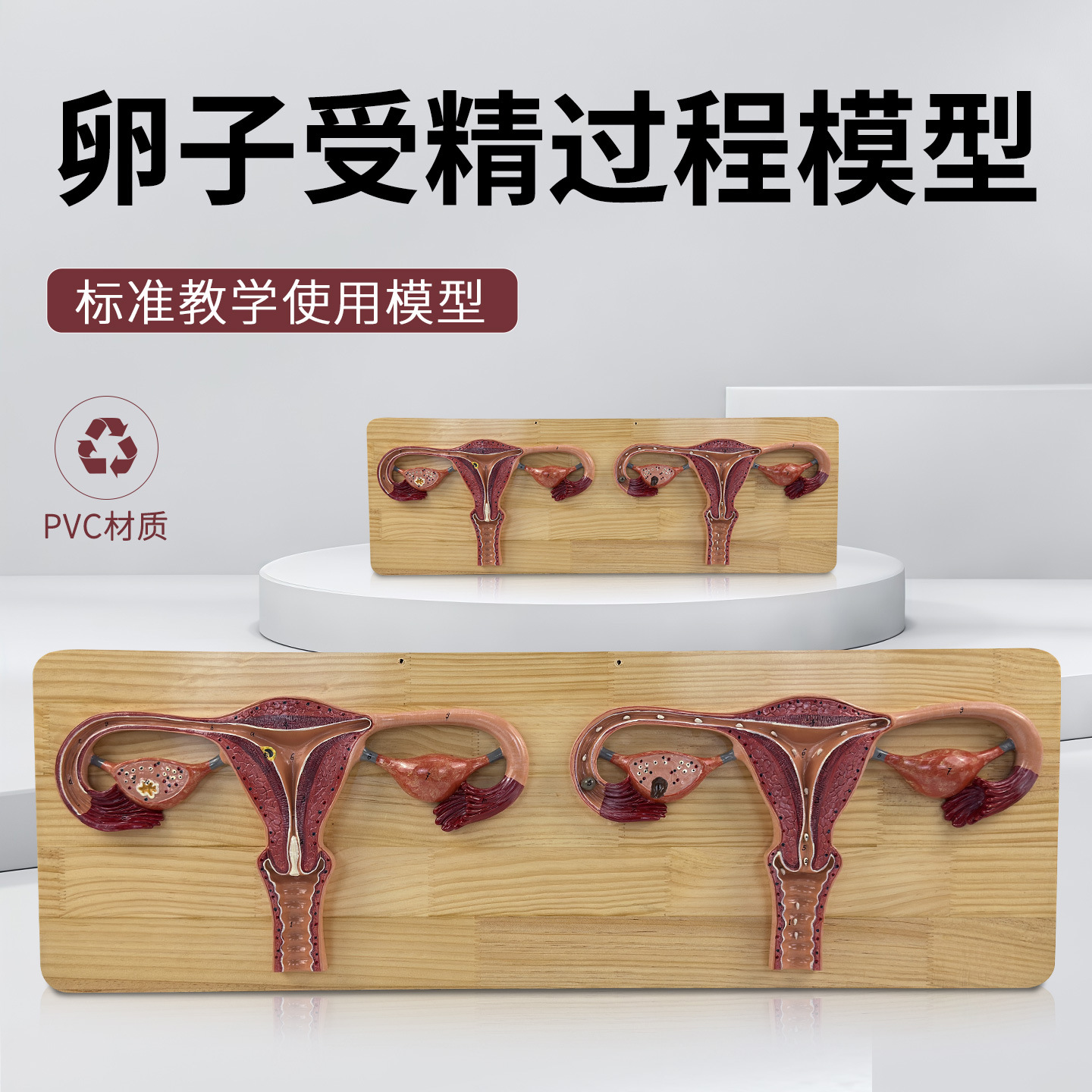 ҽ�������ܾ����̷Ŵ����ģ���ӹ��ѳ��ܾ�����ֳ�Ƽ���չʾģ��