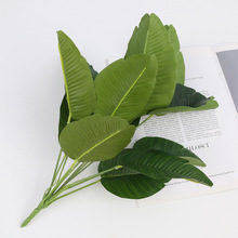 ����ֲ��Gֲ����쾰�b����Բ廨����~��С12�^���˽��Ž��~