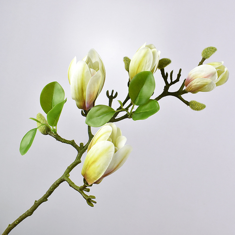 녹색 새싹 4개(전체 길이 68cm)