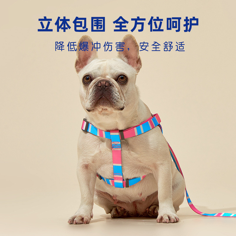 狗狗牵引绳狗绳子狗链子泰迪小中大型犬防挣脱背心式印花胸背带|undefined