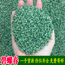 茶叶自己喝散批2025年新绿茶高山洞庭苏州工艺云雾花果香碧螺春