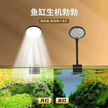 С���~�׊A��С�~�׌���ˮ�ݟ����~�ן�����ֲ���a���led�����R