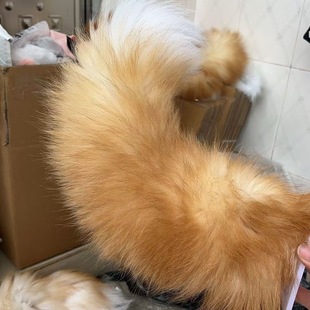 ��Ʒ�|늄�β��ͨ�ëFβ���ÙCоdiy�������β���ֹ������ëcos