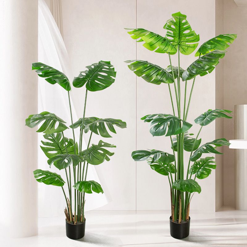 Simulación de estilo nórdico, plantas verdes, monstera, plantas en macetas, sala de estar grande, decoración de bonsai de interior, plantas de tortuga