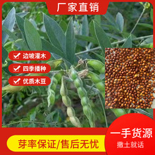 �N��ľ���ݷN�ӾG���o�¹����N�Ӷ��������ݷN�ӻ��ܷN��