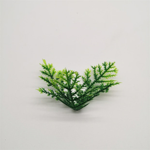 Gֲˮݲ˹~Pβ~Ƭٻ~ֹz